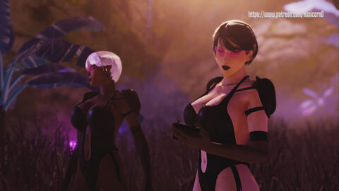 Searching for the crash site 2025 [HUNICORD]