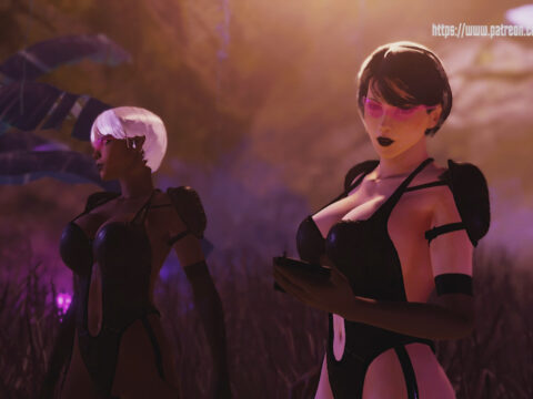 Searching for the crash site 2025 [HUNICORD]